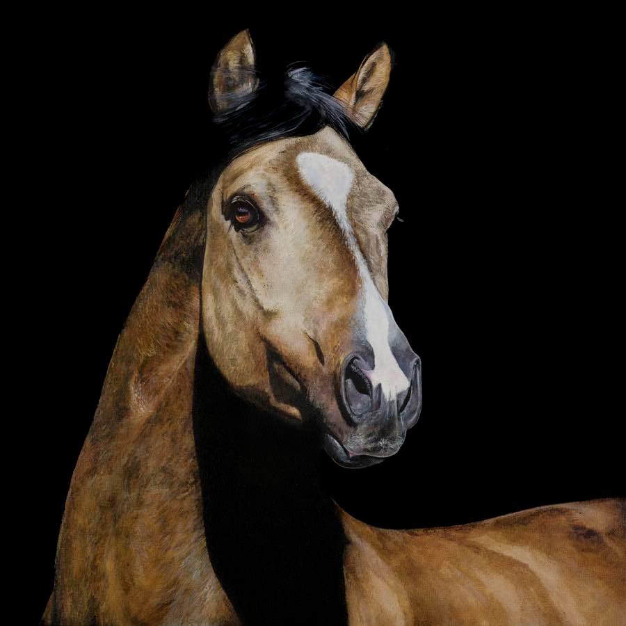 Vogue - Limited Edition Horse Print @Tony O Connor - Equine Art